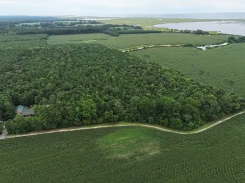 Wooded Agricultural Land