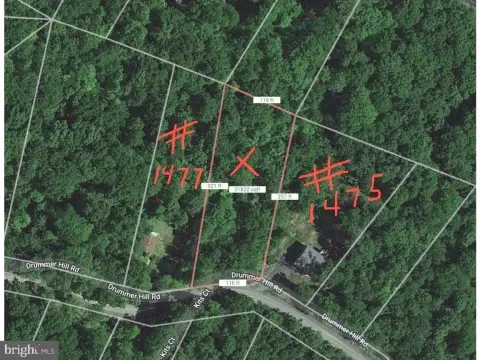 Wooded Mountain Lot in Subdivision