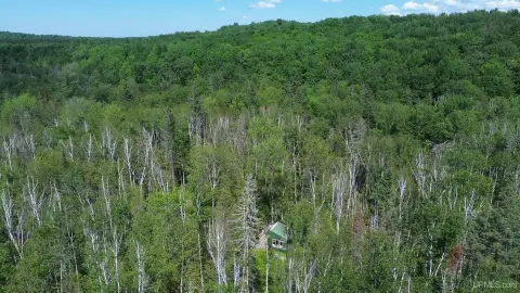Hunting Land with River Frontage
