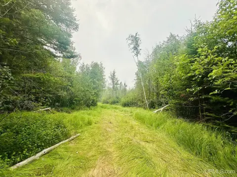 Recreational Hunting Land Parcel