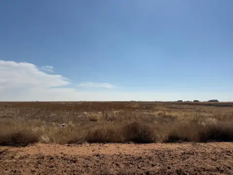 20 Acres in Shallowater, TX