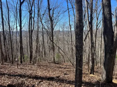 Wooded Mountain Land For Sale
