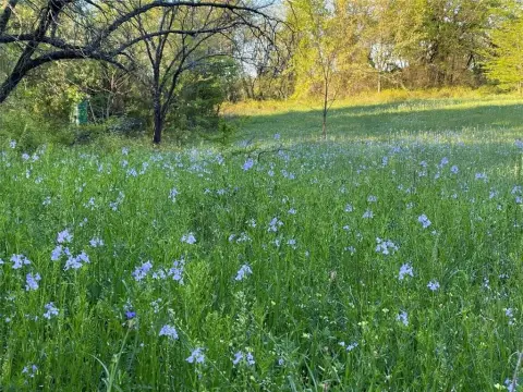Nocona Ranch Near Red River