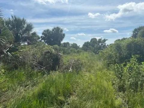 Land in Okeechobee, Florida