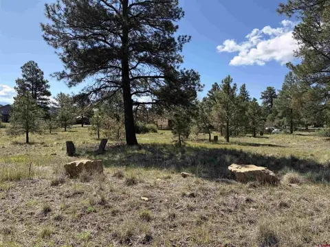 Build-Ready Land in Pagosa Springs