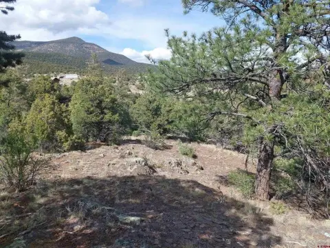 South Fork Residential Lot Package