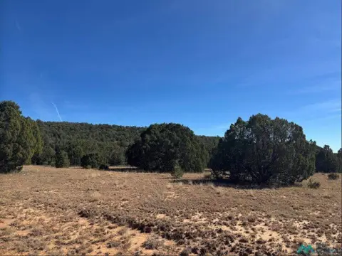 Land with Mesa Ranch Roads