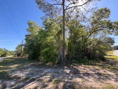 Citrus Springs Corner Lot