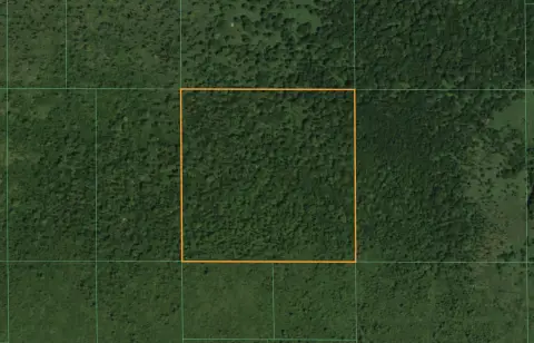 40 Acres of Hunting Land