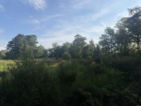 Recreational Land with Pine Plantation