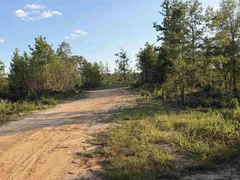 Improved Hunting Land