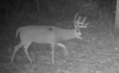 65 Acres Benton County Farm