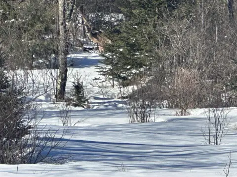 10 Acre Parcel Near Town