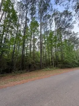 Hemphill, TX Residential Lot