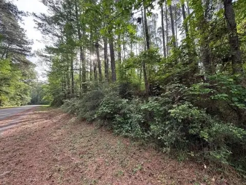 Residential Lot Near Toledo Bend