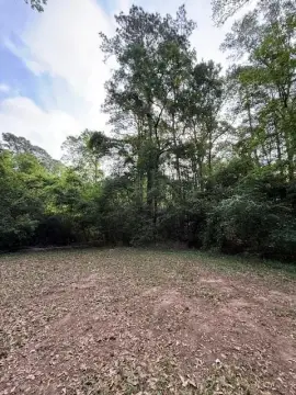 Residential Lot in Hemphill, TX