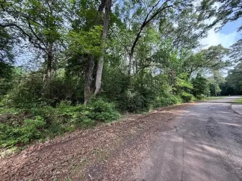 Residential Lot in Hemphill, TX