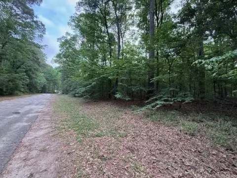 Hemphill Acreage in Restricted Subdivision