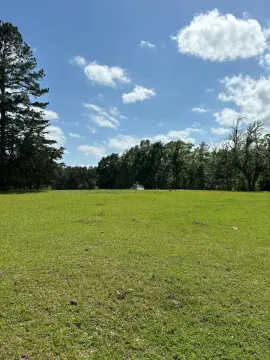 Unrestricted Land Near Lake Pinkston