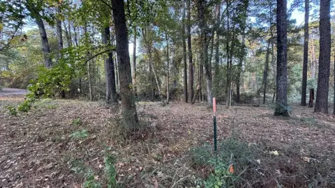 Land Near Toledo Bend Lake