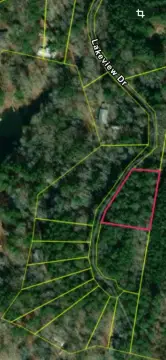 Lake Pinkston Wooded Waterfront Lot