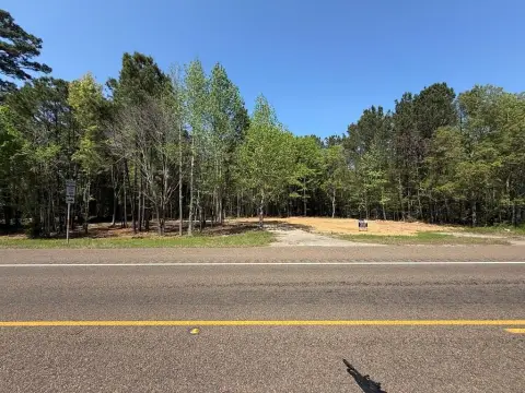 35 Acres Near Steinhagen Lake