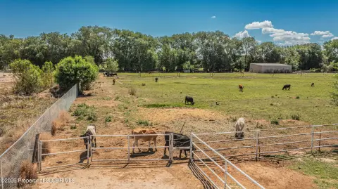 Irrigated Farm Parcel with Shop