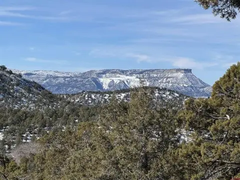 Mancos Land with Mountain Views