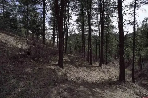 Pagosa Springs Residential Land Parcel