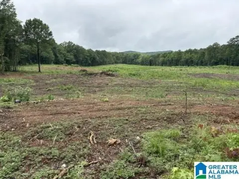 Highway-Adjacent Development Land