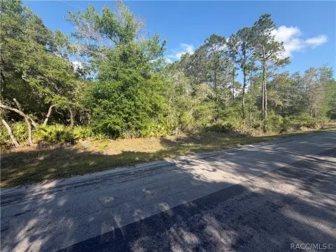 Spacious Homesite in Crystal River