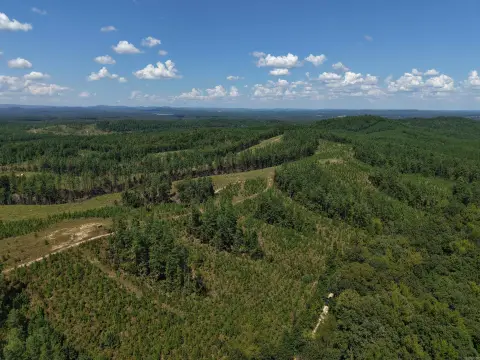 Hunting Land with Ponds