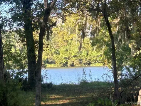 Waterfront Lots on Lake Dannelly