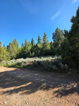 Scenic Mountain Property in Springdale