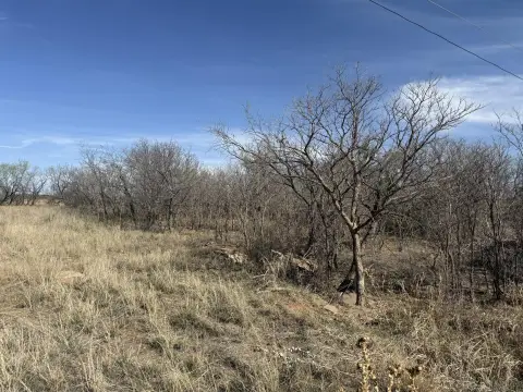 Lakefront Land Opportunity in Snyder