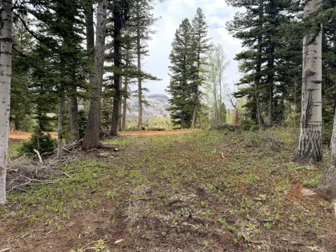Brian Head Land For Sale