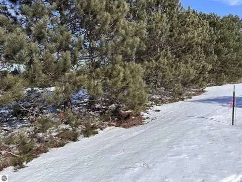 2.5 Acre Lot in Interlochen