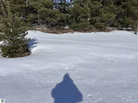 2.72 Acre Lot in Interlochen