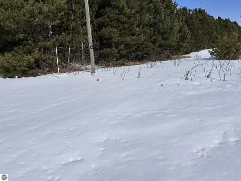 2.5 Acre Lot in Interlochen