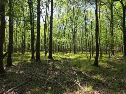 Secluded Land Near State Park
