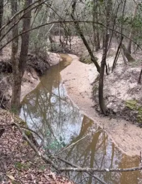 Unrestricted Timber Land with Creeks