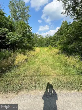 Commercially Zoned Flood-Plain Lot