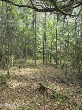 Unimproved Land Parcel with Depth