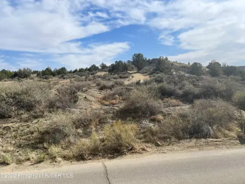 Agricultural Vacant Land Parcel