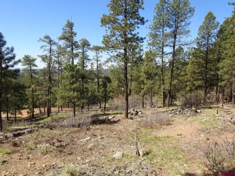 Acre Mountain Lot with Views
