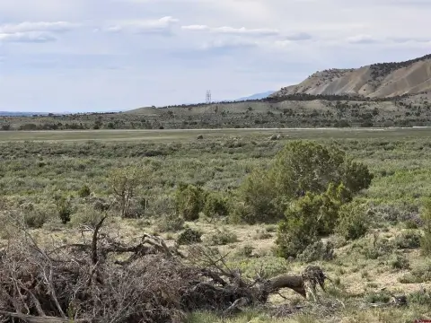 Montrose Vacant Land Opportunity