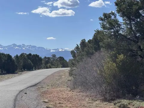 Ridgway Residential Land with Views