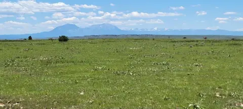 80 Acres in Walsenburg, CO