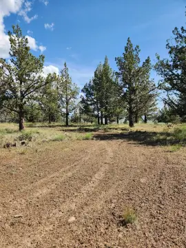 Hunting Land Home Site