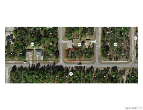 Citrus Springs Homesite Opportunity